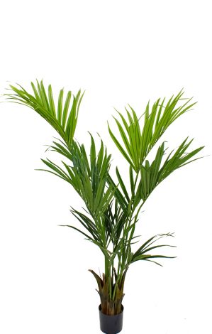 Kentia palm, konstgjord-0