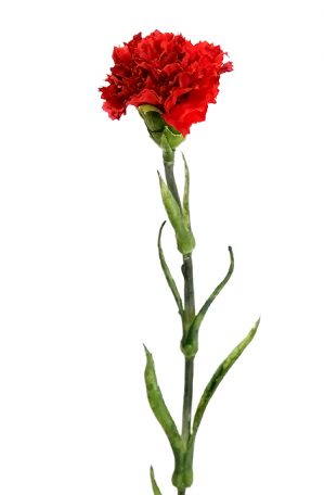 Nejlika, röd, konstgjord blomma-247