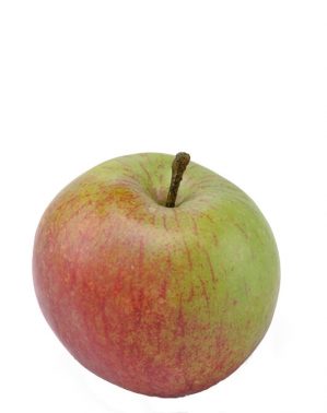 Äpple, höst, konstgjord frukt-0