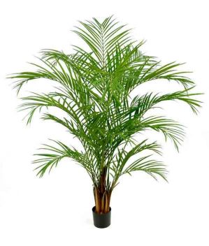 Areca palm, 170cm, konstgjord-0