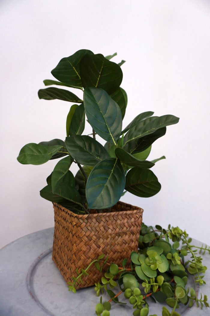 Artocarpus, konstgjord krukväxt, 40cm