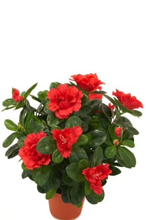 Azalea, röd, konstgjord blomma-0