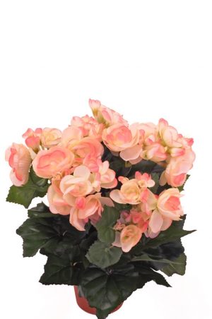 Begonia, ljus rosa, konstgjord blomma-0