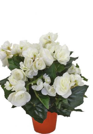 Begonia, vit, konstgjord blomma-0