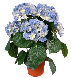 Hortensia, blå, konstgjord krukväxt-0