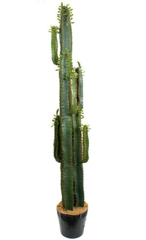 Cactus pillar, konstgjord-0