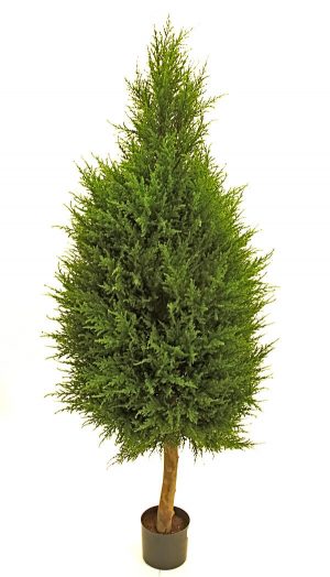 Cypress på stam, konstgjord-0