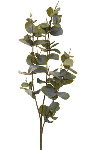 Eucalyptus, grön, konstgjord kvist-0