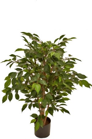 Ficus, konstgjort träd-0