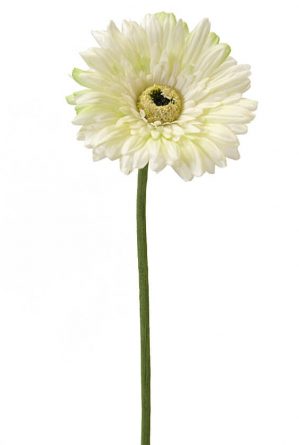 Gerbera, vit, lime, konstgjord blomma-0