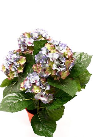 Hortensia blå/grön, konstgjord krukväxt, 42 cm