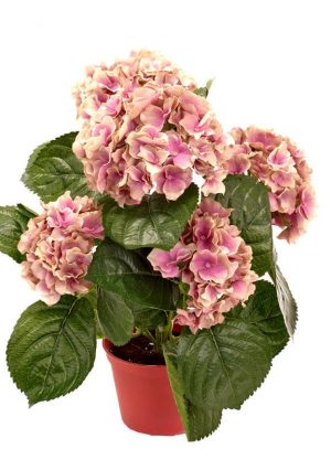 Hortensia, beige/rosa, konstgjord krukväxt, 42 cm