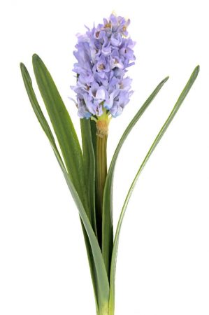 hyacint, blå, konstgjord blomma-0