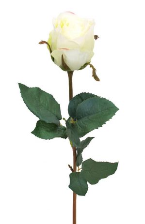 Ros, vit lime, konstgjord blomma-0