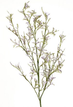 Limonium, lila, konstgjord kvist-0