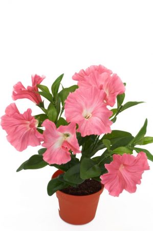 Petunia, rosa, konstgjord blomma-0