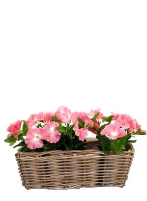 Petunia, rosa, konstgjord blomma-5280