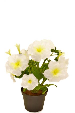 Petunia i kruka vit, konstgjord-0