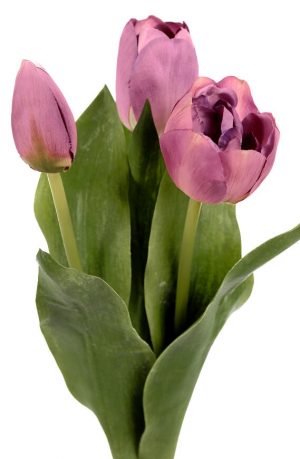 Tulpan 3-pack, lila, konstgjord blomma-0