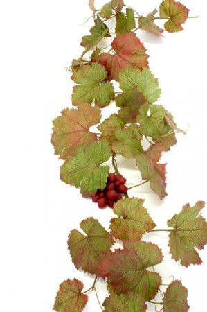 Vinranka med vinröda druvor, konstgjord-0