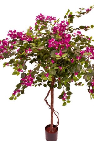 Bougainvillea, lila, konstgjort träd-0