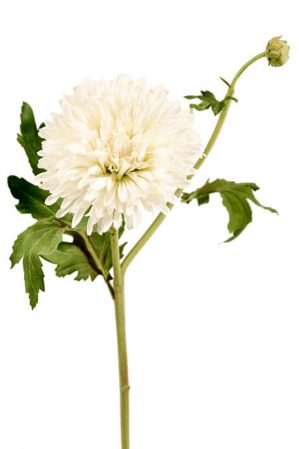 Chrysanthemum, creme, konstgjord blomma-0