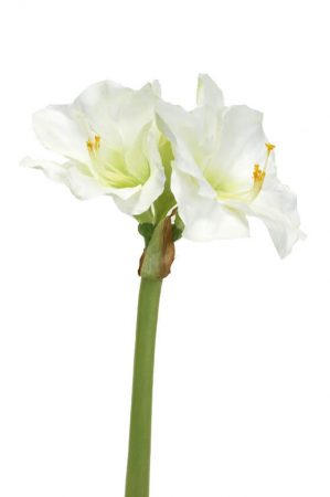 Amaryllis, vit, konstgjord blomma-0