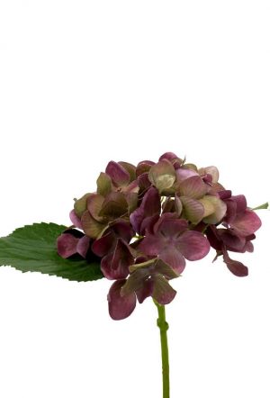 Hortensia, vinröd, konstgjord blomma-0