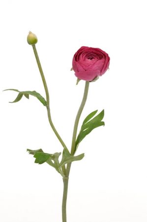 Ranunkel, lila, konstgjord blomma-0