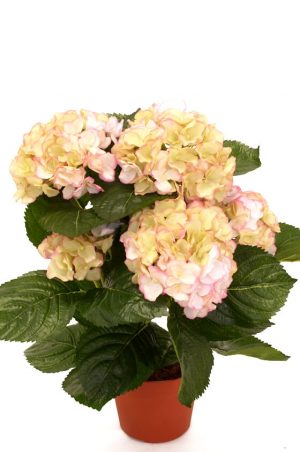 Hortensia, rosa gul, konstgjord krukväxt-0