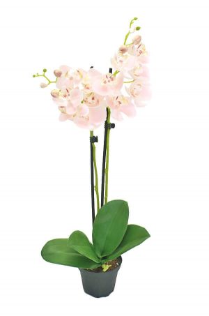 Orkidé i kruka, rosa, konstgjord-0