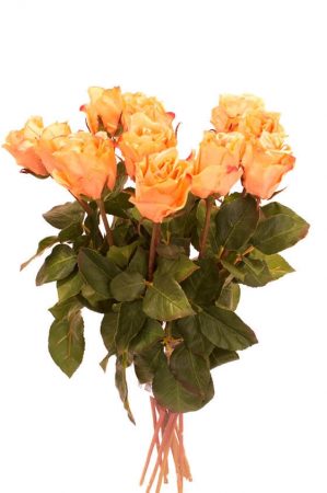 Ros, orange, konstgjord blomma-4314
