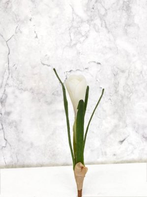 Krokus, vit, konstgjord blomma-4488