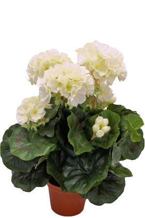 Pelargonia, vit, konstgjord blomma-0
