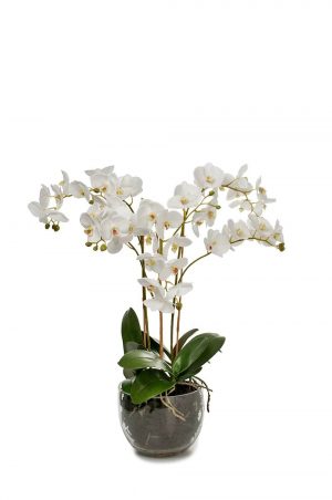 Orkidé i glaskruka, konstgjord-0