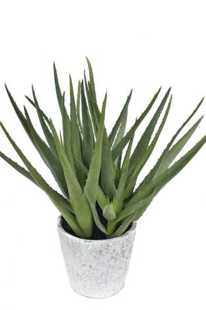 Aloe Vera, konstgjord krukväxt-0