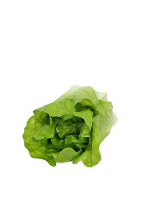 Sallat, grön, konstgjord grönsak-0