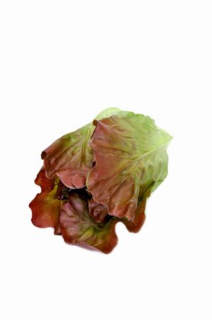 Sallat, grön/rost, konstgjord grönsak-0