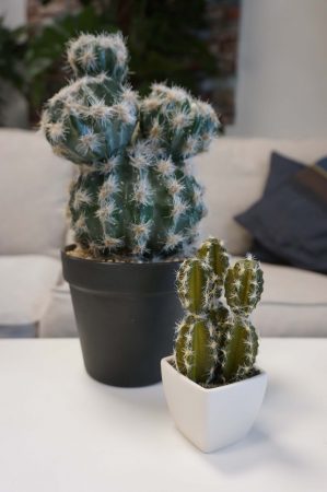 Kaktus, mini, konstgjord-6538