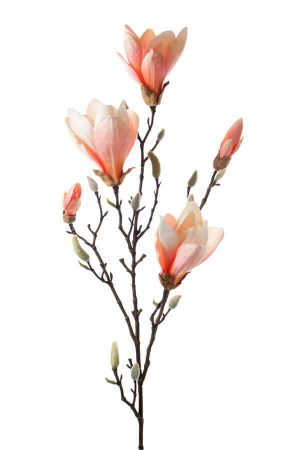 Magnolia, aprikos, konstgjord blomma-0