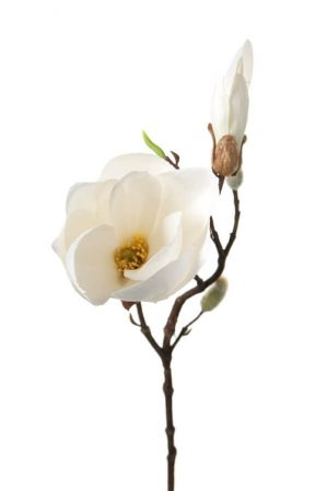 Magnolia, vit, konstgjord blomma-0