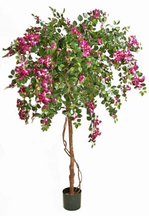 Bougainvillea, lila, konstgjort träd-0