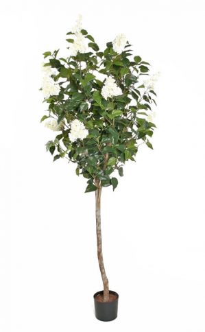 Syrénträd, vita blommor, konstgjort-0