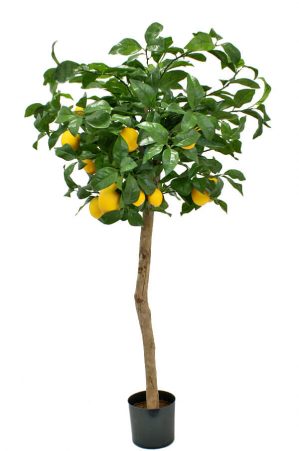 Citronträd, konstgjort träd-0