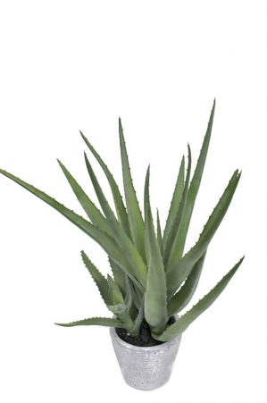 Aloe Vera, konstgjord krukväxt-0