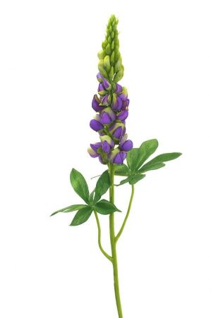 Lupin, lila, konstgjord blomma-0