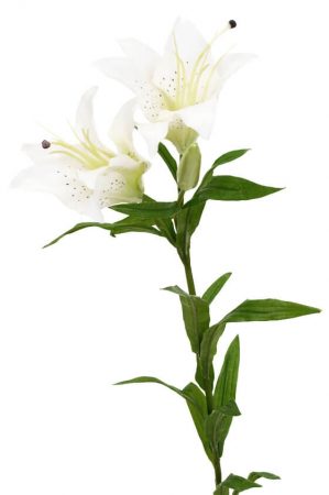 Lilja, vit, konstgjord blomma-0