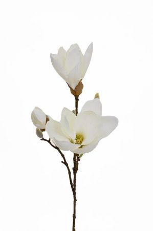 Magnolia, vit, konstgjord blomma-0