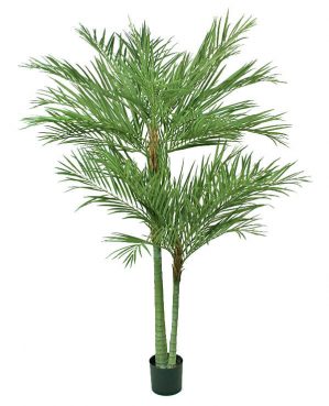 Areca palm, 240cm, konstgjord-0