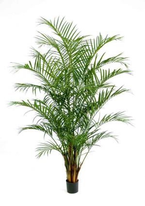 Areca palm, 230cm, konstgjord-0